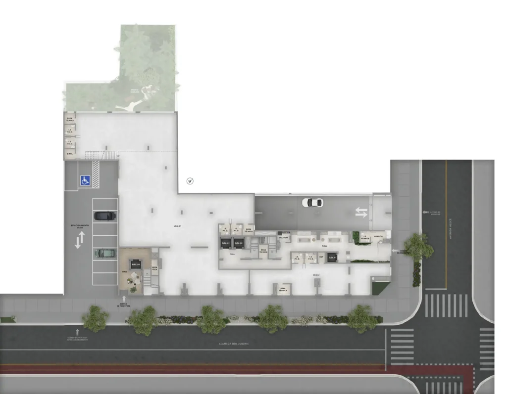 Brisea Moema - NR — Planta